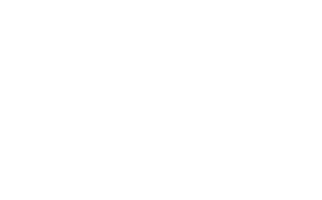 danishwpdev.in